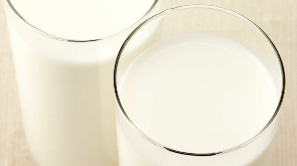 Melk er en viktig kilde til protein.