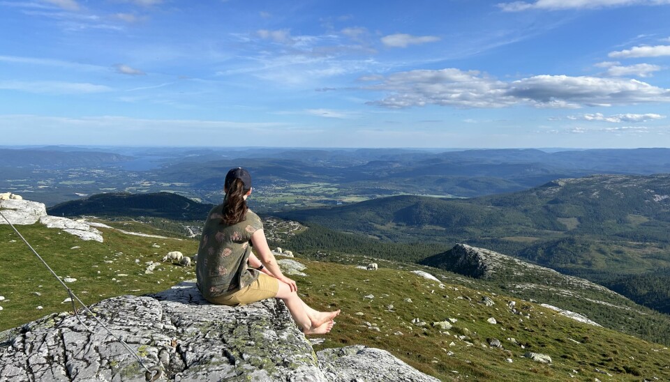 Norge har blitt et populært ferieland, både blant nordmenn og utlendinger.