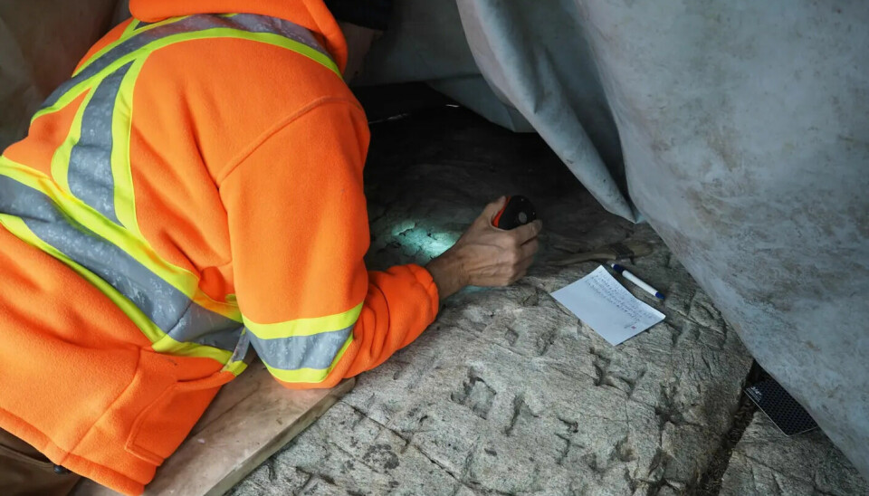 – Jeg hadde aldri trodd jeg skulle støte på en runestein i løpet av karrieren min, sier arkeolog Ryan Primrose ved Ontario Centre for Archaeological Research and Education. ()
