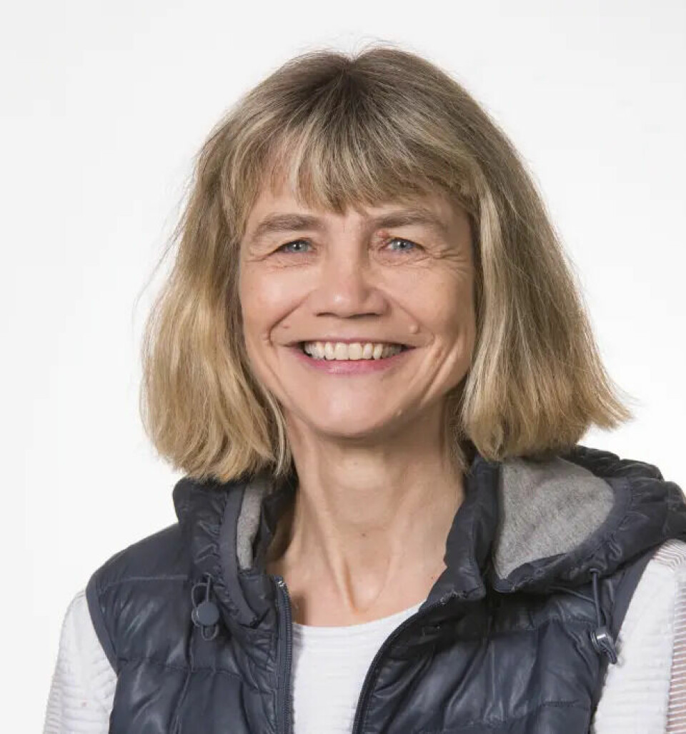 Seniorforsker ved Sintef, Mariann Sandsund, sier at kroppen prøver å kjøle seg ned når den utsettes for varme. Ved en hetebølge jobber kroppen enda hardere ved å kjøle seg ned.