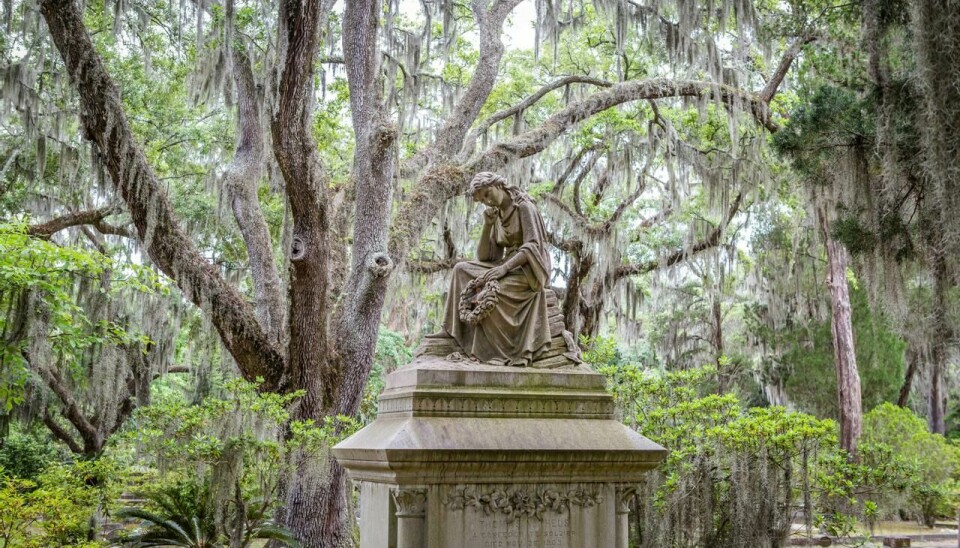 Den berømte boken «Midnatt i det gode og ondes hage» er en historie fra Savannah som lener seg tungt på symbolikken du finner flust av i den 170 år gamle gravlunden Bonaventure. Dette er et populært reisemål for turister.