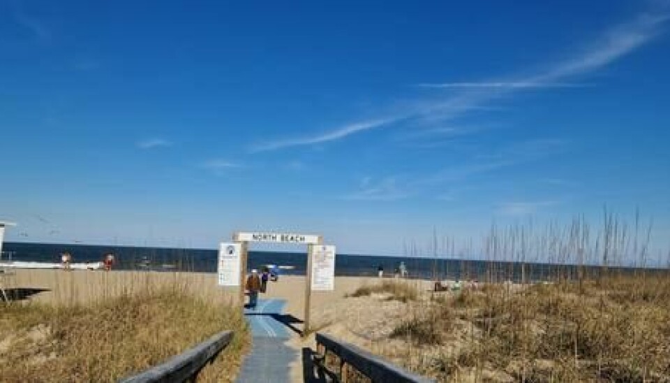 Det kanskje mest definerende trekket med North Beach på Tybee Island er hvor avslappet stedet får deg til å føle deg.