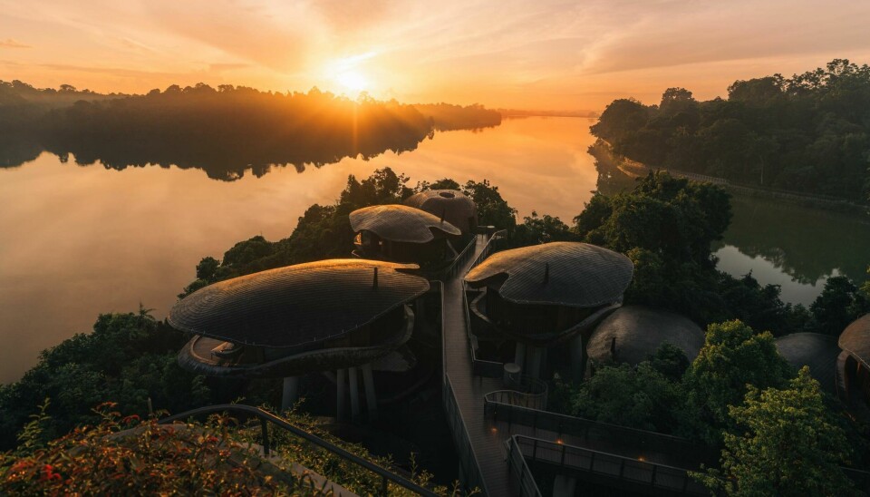 Mandai Rainforest Resort by Banyan Tree