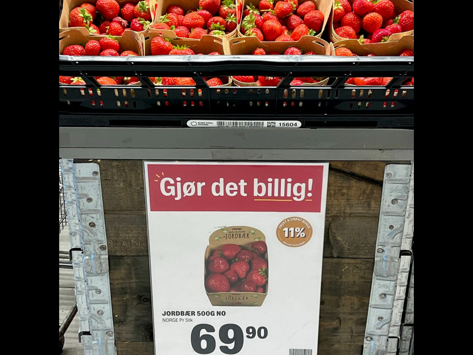 Jordbærprisene har økt betydelig. Noe av årsaken er en svekket kronekurs – dyrere sesongarbeidere/jordbærplukkere. I tillegg har produksjonskostnader økt.