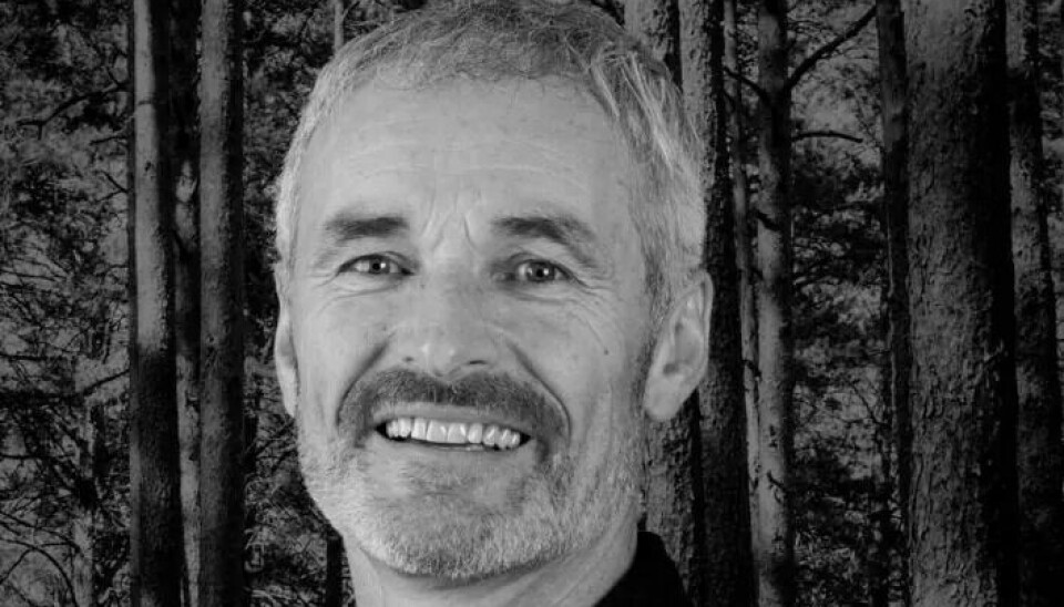 Terje Hoel, daglig leder i Norwegian Forestry Group.