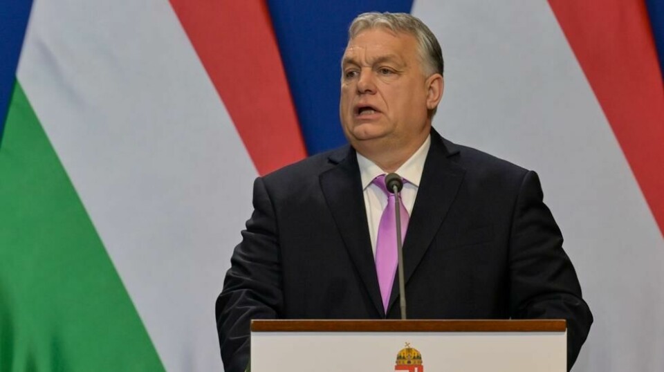 Ungarns statsminister Viktor Orban støtter opp om Donald Trump etter kjennelsen der hans nære allierte ble kjent skyldig i brudd på regnskapsloven. Det samme gjør Italias visestatsminister Matteo Salvini. Foto: Denes Erdos / AP / NTB