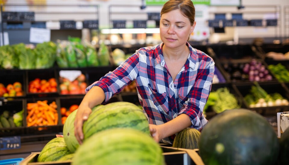 Noen dunker og lytter, andre sjekker vekten og noen har ingen spesiell teknikk. En kvinne i rutete skjorte står i frukt- og grøntavdelingen i en butikk og holder på en vannmelon. Bak henne er det fargerike grønnsaker og salater i hyllene. Vi tipser om hvordan du finner den søteste og saftigste vannmelonen.