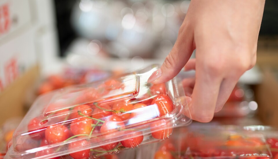 Problemet med plast er ikke bare forsøpling og mikroplast, men også giftige kjemikalier. Disse er ikke bundet til plastmaterialet og vil derfor lekke ut og til slutt ende opp i naturen og kroppene våre. En rapport fra FHI viser høye tall hos norske barn og unge. En hånd løfter opp en plastpakke med røde tomater i en butikk. Tomatene ligger i en gjennomsiktig plastemballasje med luftehull.