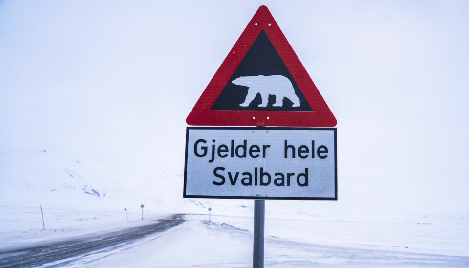 Et fareskilt som advarer mot isbjørn utenfor Longyearbyen på Svalbard. Illustrasjonsfoto: Ole Berg-Rusten / NTB