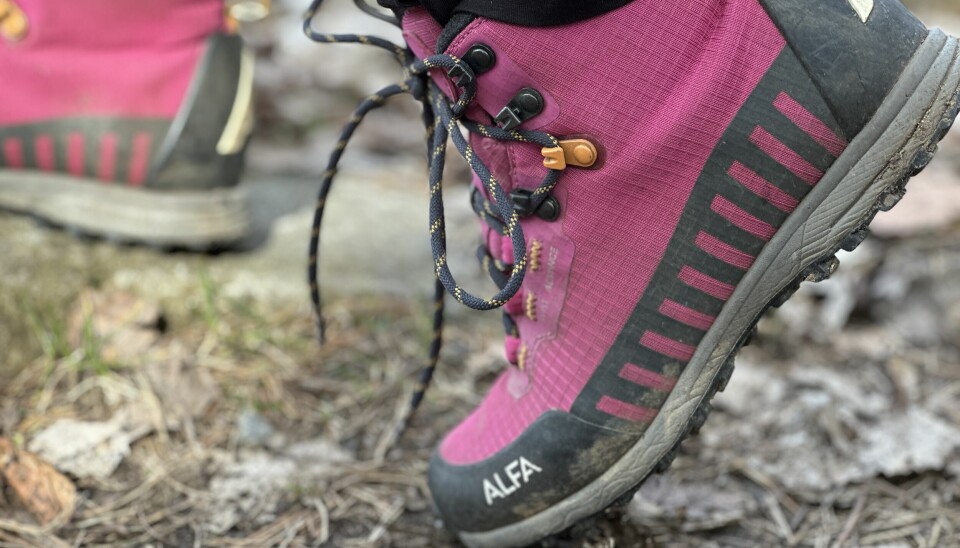 Vi har sett på testene og funnet et knippe fjellsko i forskjellige kategorier som er best i test i 2025. Felles for dem alle er at de er testet av uavhengige og pålitelige kilder som tester skoene selv. Nærbilde av en rosa fjellstøvel med svarte og mørkerosa detaljer fra merket ALFA. Støvelen er snørt med mørke lisser med lyse prikker og står på skogbunn med barnåler, jord og småstein. Den andre støvelen skimtes i bakgrunnen. Vi avslører hvilke fjellsko som er best i test til dame og herre i 2025. Fra merker som La sportiva, Salomon, Hoka og Merell.