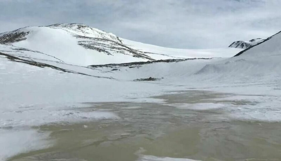 Forskere ble overrasket over denne lille innsjøen. (Foto: Francesco m. fl, 2024)