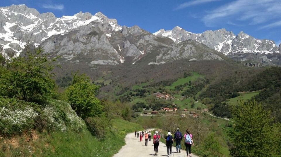 Pilegrimsleden Camino Lebaniego fører til klosteret Santo Toribio de Liébana i spanske Cantabria, Her feires det storslagent 'Hellig år' helt fram til 16. april neste år.