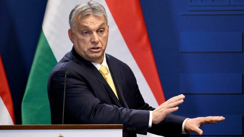 ORBÁN-SMELL: Den ungarske Helsingforskomiteen vant i ungarsk Høyesterett mot regjeringen.