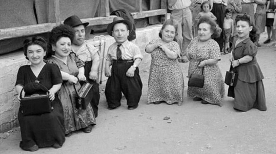 De syv kortvokste søsknene fra familien Ovitz var kjent som «Lilleputt-Truppen» før de havnet i utryddelsesleiren Auschwitz. Foto: Wikipedia Commons / Eilat Negev / Yehuda Koren.