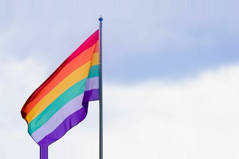 De siste årene har det vært flere hendelser med hærverk på Pride-flagg i Ålesund, skriver Sunnmørsposten. Nå har kommunen bestemt at flagget ikke skal heises på skoler i år. Illustrasjonsfoto: Fredrik Hagen / NTB De siste årene har det vært flere hendelser med hærverk på Pride-flagg i Ålesund, skriver Sunnmørsposten. Nå har kommunen bestemt at flagget ikke skal heises på skoler i år. Illustrasjonsfoto: Fredrik Hagen / NTB Foto: NTB