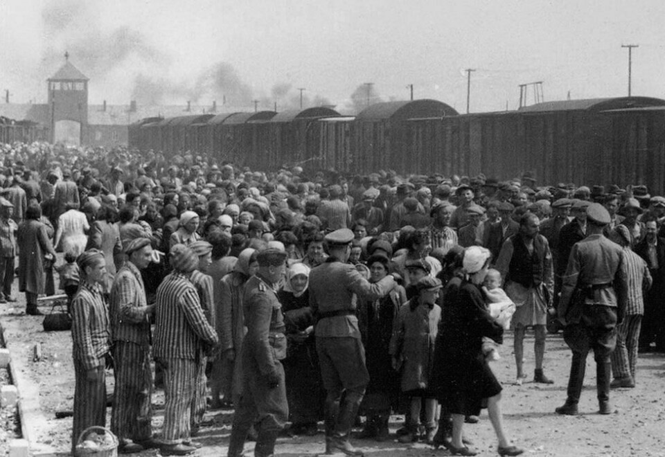 Jøder ankommer Auschwitz-Birkenau i mai/juni 1944. Allerede på plattformen blir valget tatt - straffarbeid eller gasskammeret. De fleste var døde få timer etter togets ankomst. Foto: Wikipedia Commons. Jøder ankommer Auschwitz-Birkenau i mai/juni 1944. Allerede på plattformen blir valget tatt - straffarbeid eller gasskammeret. De fleste var døde få timer etter togets ankomst. Foto: Wikipedia Commons.