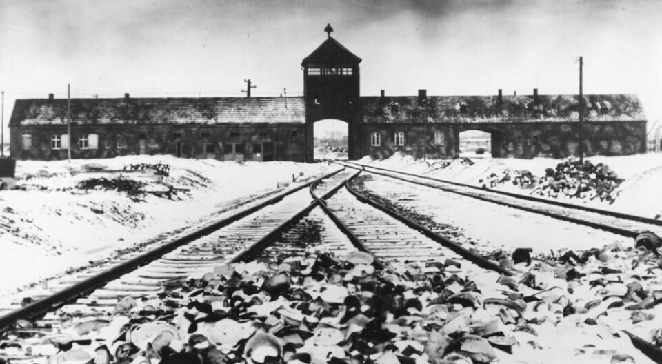 Inngangen til Auschwitz fotografert i mars/april 1945. I forgrunnen, på skinnene, sees personlige gjenstander forlatt av de utallige menneskene som ankom utryddelsesleiren. Foto: AP / NTB scanpix. Inngangen til Auschwitz fotografert i mars/april 1945. I forgrunnen, på skinnene, sees personlige gjenstander forlatt av de utallige menneskene som ankom utryddelsesleiren. Foto: AP / NTB scanpix.
