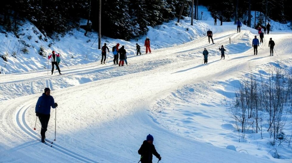 Store og små er ute på skitur ved Lindrudkollen i Oslo en fin vinterdag i januar i fjor. I år er det dårlig med skiføre i hovedstaden i årets første måned. Ifølge Meteorologisk institutt har det blitt 40 færre dager med skiføre i Nordmarka i snitt de siste 30 årene.