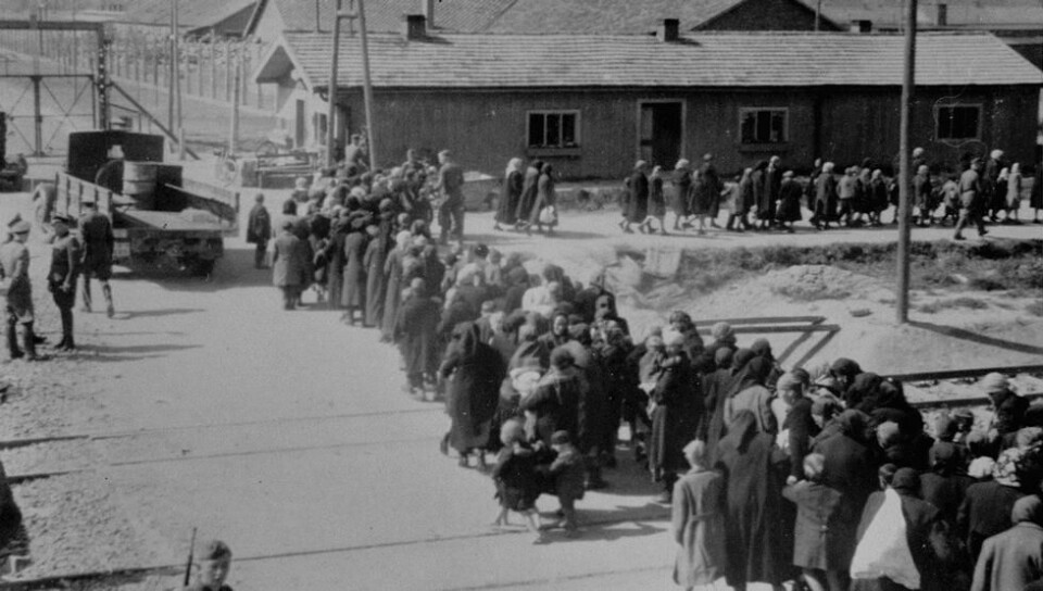 Jødiske kvinner og barn på vei mot gasskamrene - fotografert i mai/juni 1944. Foto: Bernhardt Walter/Ernst Hofmann / United States Holocaust Memorial Museum. Jødiske kvinner og barn på vei mot gasskamrene - fotografert i mai/juni 1944. Foto: Bernhardt Walter/Ernst Hofmann / United States Holocaust Memorial Museum.