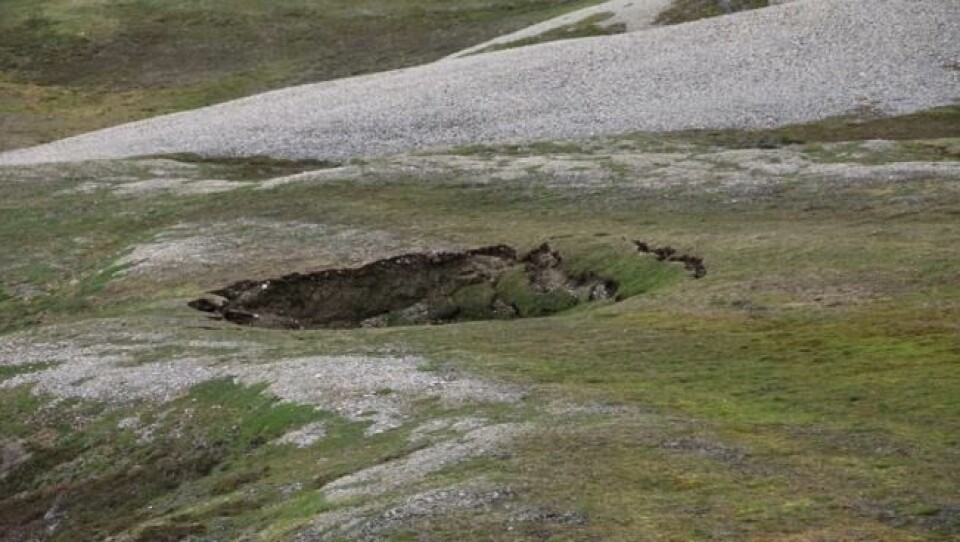 Permafrost under bakken har tint og jorden over har kollapset ved Sassendalen på Svalbard. Tining av permafrost øker risikoen for jordskred og utglidninger, samtidig som det på sikt sannsynligvis vil føre til økt global oppvarming. Permafrost under bakken har tint og jorden over har kollapset ved Sassendalen på Svalbard. Tining av permafrost øker risikoen for jordskred og utglidninger, samtidig som det på sikt sannsynligvis vil føre til økt global oppvarming. Foto: Norsk Polarinstitutt/Cornelia Jaspers
