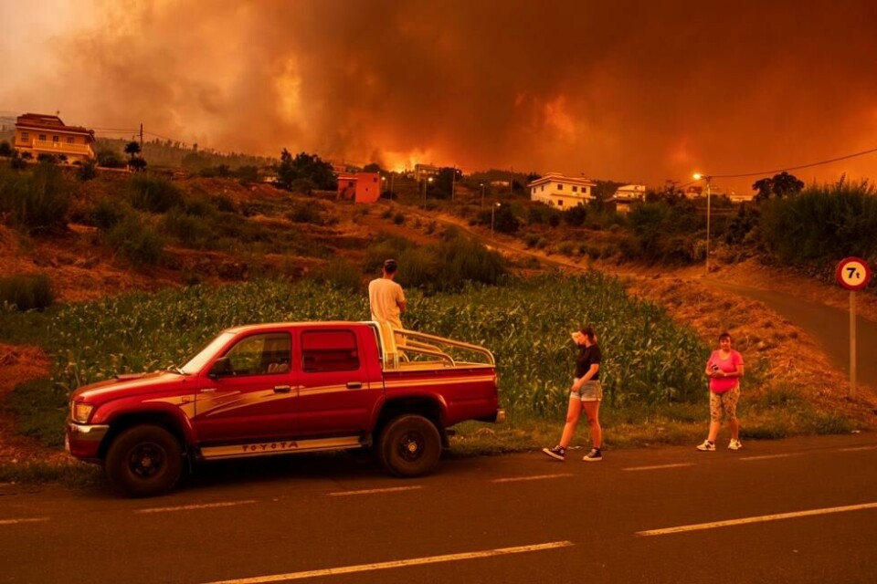 Tenerife ble i fjor rammet av skogbranner som politiet sa varr påsatt. Nå truer tørke og vannmangel den populære ferieøya. Tenerife ble i fjor rammet av skogbranner som politiet sa varr påsatt. Nå truer tørke og vannmangel den populære ferieøya. Foto: Arturo Rodriguez / AP / NTB / NTB