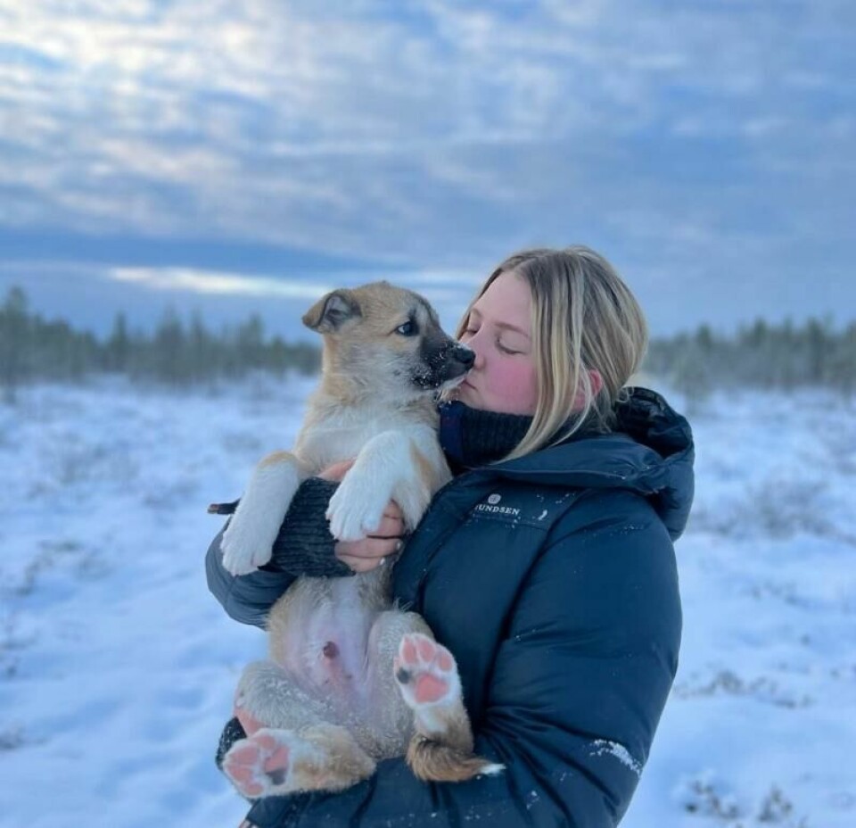 På lina blir ein god ven med hundane som brukest. På lina blir ein god ven med hundane som brukest. Foto: Folkehøgskolene