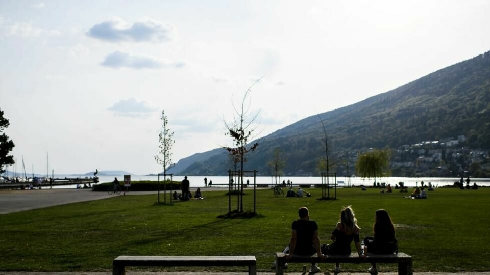 Pilspissen ble først funnet ved Bielsjøen i Sveits. Pilspissen ble først funnet ved Bielsjøen i Sveits. Foto: Anthony Anex / AP / NTB