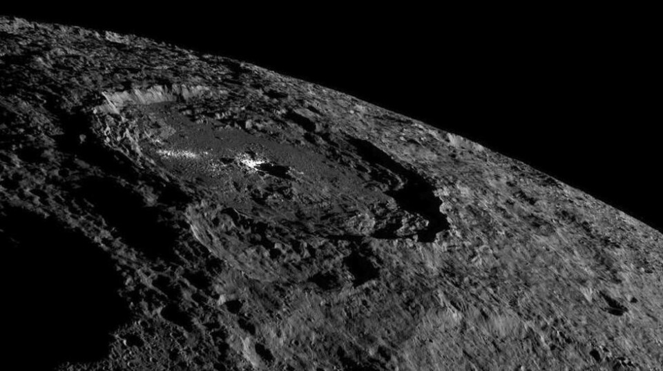 Midt på bildet ser man Occator-krateret på Ceres. De lyse områdene i krateret vakte stor undring da Dawn-sonden nærmet seg dvergplaneten i 2015. Den foreløpige hypotesen går ut på at det lyse materialet er saltavleiringer. Foto: NASA/JPL-Caltech/UCLA/MPS/DLR/IDA