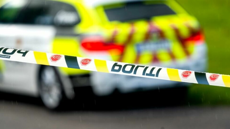 Funnet av den savnedes hund utløste en omfattende leteaksjon hvor frivillige, Røde Kors, Norske Redningshunder og politiet deltok. Det ble også foretatt et 80-talls avhør, og politiet mottok en rekke tips.