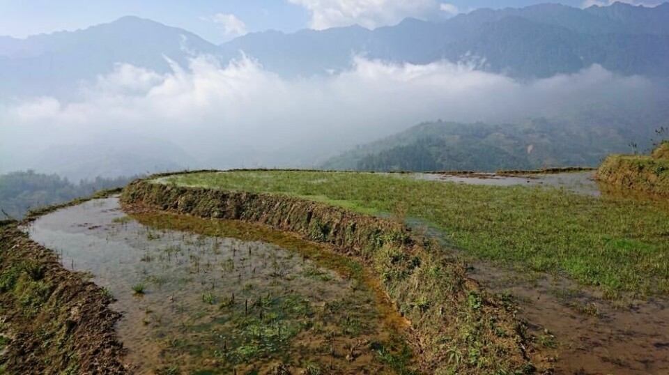 Sapa-dalen i Vietnam er et fortryllende sted, med sine karakteristiske risterasser, omringet av landets høyeste fjell.