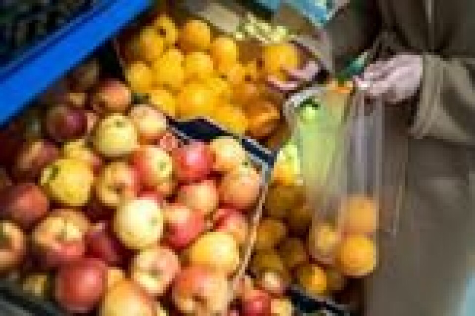 Frukt til folket er kostholdsutvalgets forslag til hvordan gjøre kostholdet til barn bedre. Foto: Gorm Kallestad / NTB Frukt til folket er kostholdsutvalgets forslag til hvordan gjøre kostholdet til barn bedre. Foto: Gorm Kallestad / NTB