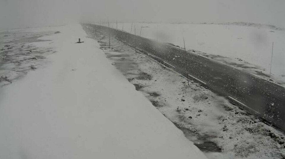 Webkamera som viser snø på Fv51 Valdresflya 5. juni. . Foto: Statens vegvesen / Handout / NTB