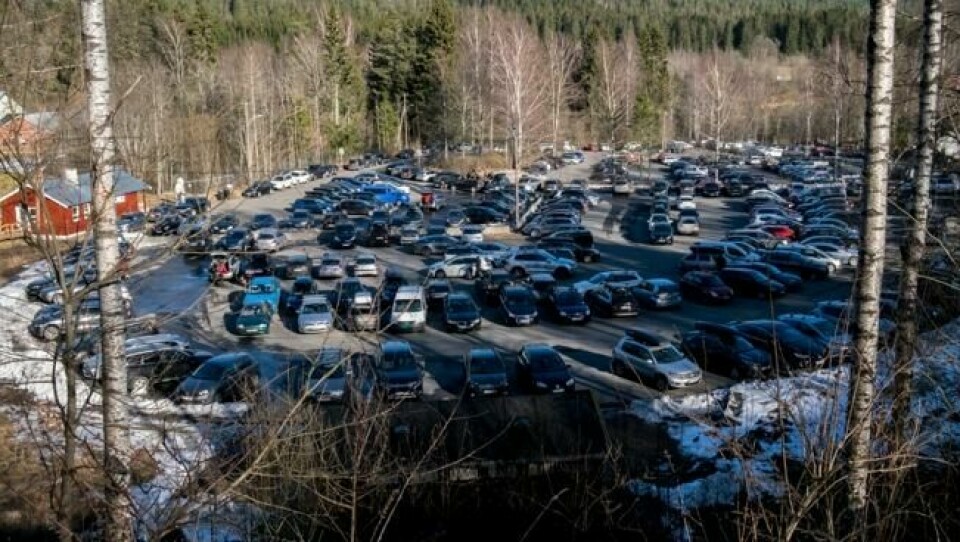 Det var høyt aktivitetsnivå i Oslomarka i helgen. Mange biler var parkert på parkeringsplassen på Skar i Maridalen lørdag ettermiddag. Det var høyt aktivitetsnivå i Oslomarka i helgen. Mange biler var parkert på parkeringsplassen på Skar i Maridalen lørdag ettermiddag. Foto: Vidar Ruud / NTB scanpix