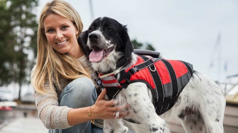 Logrende ivrig før båtsommeren? Gode råd fra veterinær Martine Fossem Nygaard i If, sikrer at båtlivet blir trygt og hyggelig for hunden din.