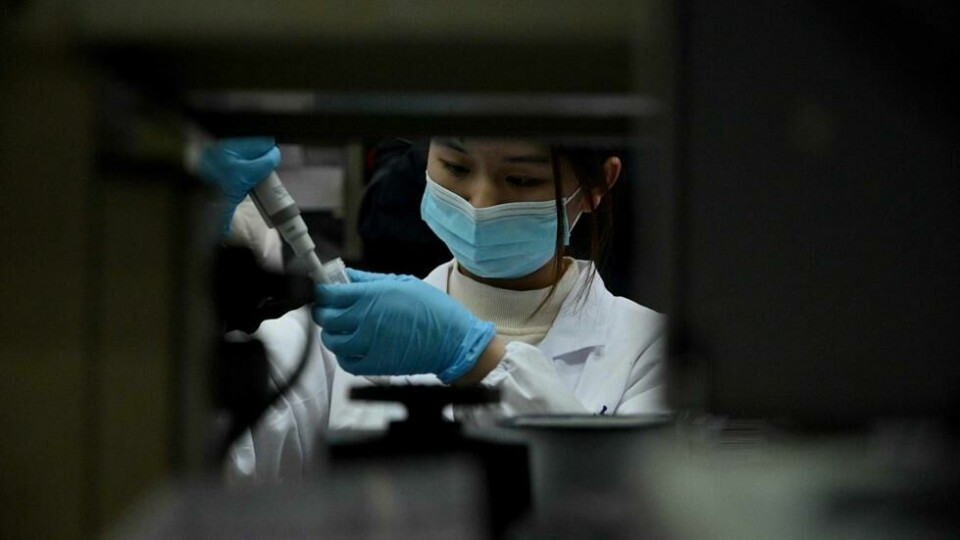 En forsker arbeider med å utvikle behandling mot covid-19 ved et laboratorie i Beijing. En forsker arbeider med å utvikle behandling mot covid-19 ved et laboratorie i Beijing. Foto: Noel Celis / AFP/NTB