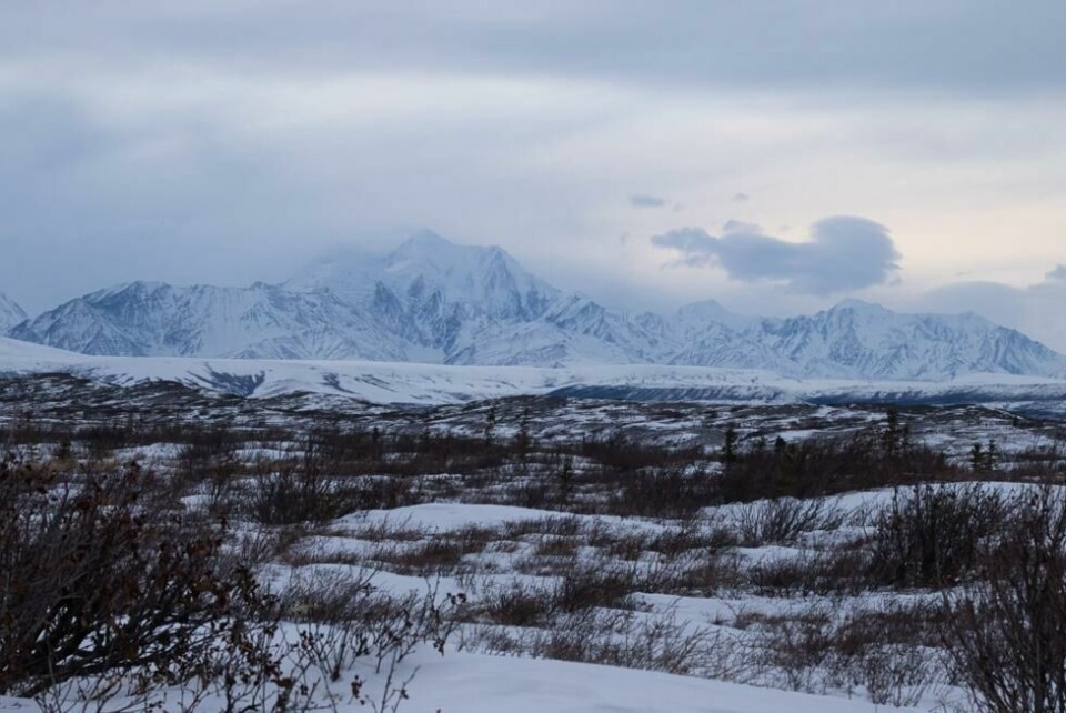 Alaska-triangelet gjemmer på mange hemmeligheter. Turister og fly har plutselig blitt borte i området som ligger mellom byene Anchorage, Juneau og Utqiagvi. Alaska-triangelet gjemmer på mange hemmeligheter. Turister og fly har plutselig blitt borte i området som ligger mellom byene Anchorage, Juneau og Utqiagvi. Foto: Kari Ahlers / Shutterstock / NTB
