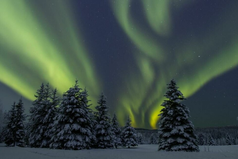 Alaska-triangelet byr på nordlys og majestetisk natur, men er også hjemmet til mange uforklarlige forsvinninger. Alaska-triangelet byr på nordlys og majestetisk natur, men er også hjemmet til mange uforklarlige forsvinninger. Foto: Moorephotography_9 / Shutterstock / NTB