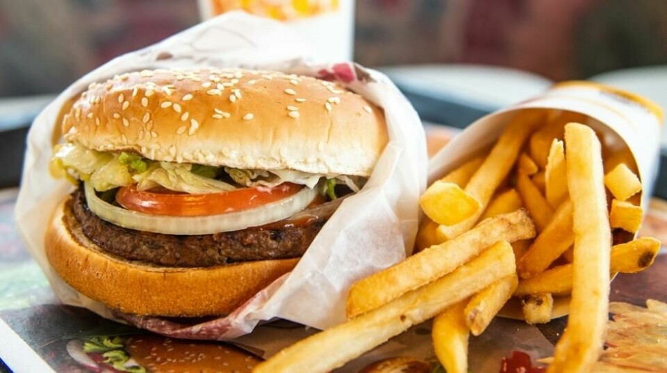 Det nye EU-regelverket vil forby restauranter og kafeer å servere sine gjester mat med engangsemballasje, spesielt de som spiser inne i restauranten og ikke tar den med seg ut.