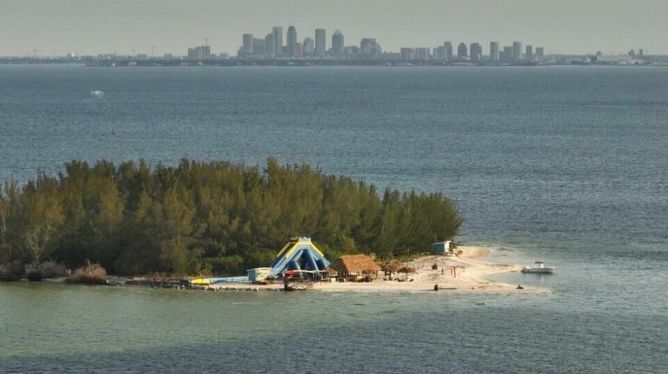 Den lille skogkledte øya Pine Key, også kjent som Beer Can Island, har i mange tiår vært berømt og beryktet som utfartsmål for folk i båt og partyglade gruppeturisterfra Tampa i Florida.