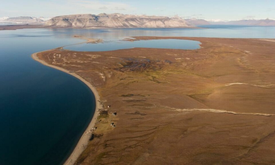 Fangststasjonen ved Kapp Wijk som ble Haralds hjem i førti år, samt lagunen og innseilingen til Dicksonfjorden fotografert med drone. I bakgrunnen Tolmodryggen, Vengeberget og Trollfuglfjella. Foto: Birger Amundsen Fangststasjonen ved Kapp Wijk som ble Haralds hjem i førti år, samt lagunen og innseilingen til Dicksonfjorden fotografert med drone. I bakgrunnen Tolmodryggen, Vengeberget og Trollfuglfjella. Foto: Birger Amundsen