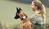 Kvinne sitter ute i naturen sammen med hund som har GPS-enhet på halsbåndet.