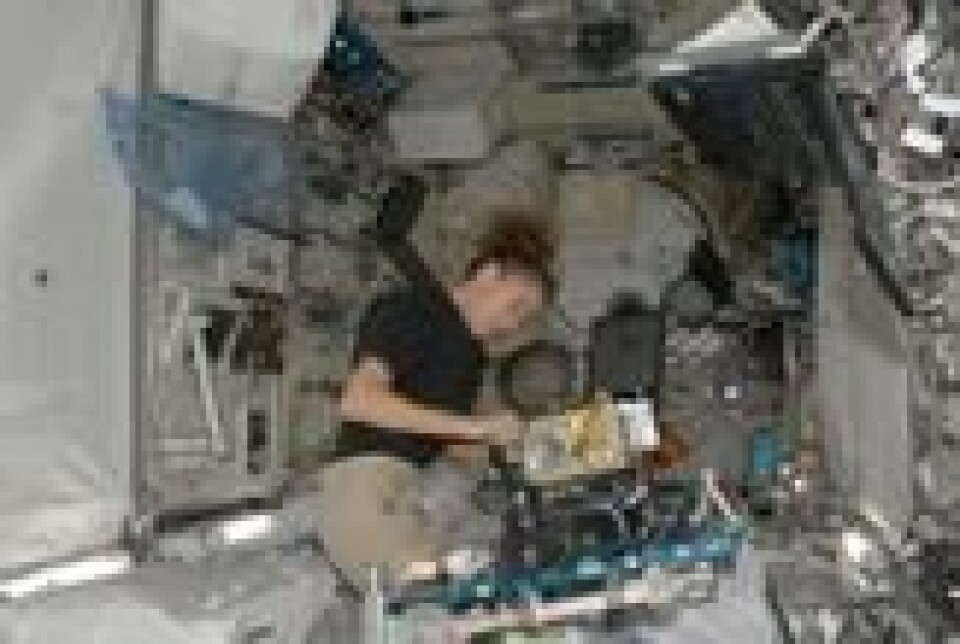 Sandra Magnus i arbeid med Marangoni-eksperimentet i romstasjonens område for vedlikeholdsarbeid. Foto: Nasa. Sandra Magnus i arbeid med Marangoni-eksperimentet i romstasjonens område for vedlikeholdsarbeid. Foto: Nasa.