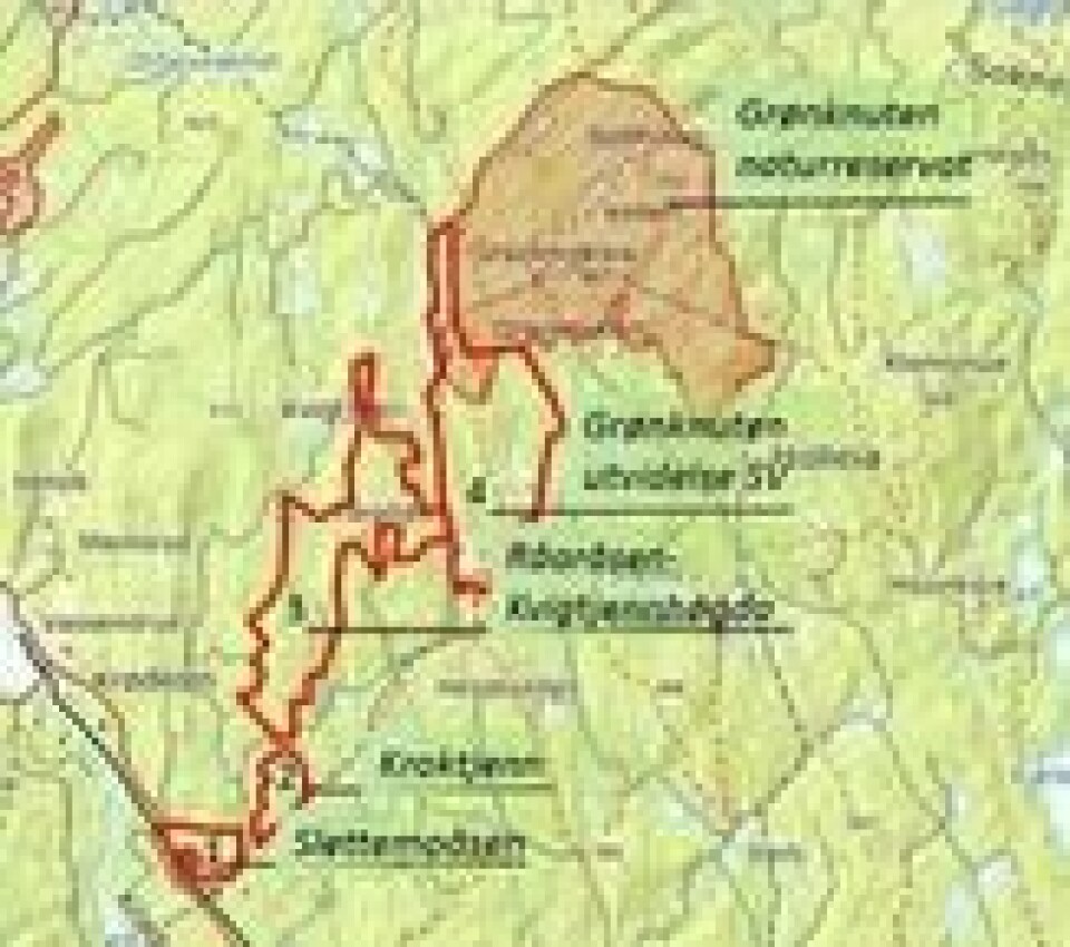 Området øverst til venstre er naturreservat i dag. Nå hogges det i område 2 Kroktjenn, men det er også planlagt hogst inn i område 3. Dette området er vurdert som nasjonalt verneverdig. Området øverst til venstre er naturreservat i dag. Nå hogges det i område 2 Kroktjenn, men det er også planlagt hogst inn i område 3. Dette området er vurdert som nasjonalt verneverdig.