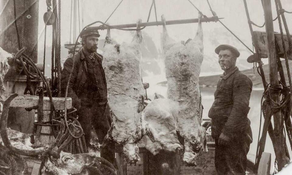Ole Tarraldsen (t.v.) sammen med skipskamerat Bernhard Nilsen om bord på ekspedisjonsfartøyet M/S Enigheden i Bockfjorden nord på Spitsbergen. Et år tidligere var de begge blitt reddet fra sultedøden etter å ha strandet. Deres tre kamerater ble igjen i den frosne jorden. Foto: Norsk Polarinstitutt Ole Tarraldsen (t.v.) sammen med skipskamerat Bernhard Nilsen om bord på ekspedisjonsfartøyet M/S Enigheden i Bockfjorden nord på Spitsbergen. Et år tidligere var de begge blitt reddet fra sultedøden etter å ha strandet. Deres tre kamerater ble igjen i den frosne jorden. Foto: Norsk Polarinstitutt