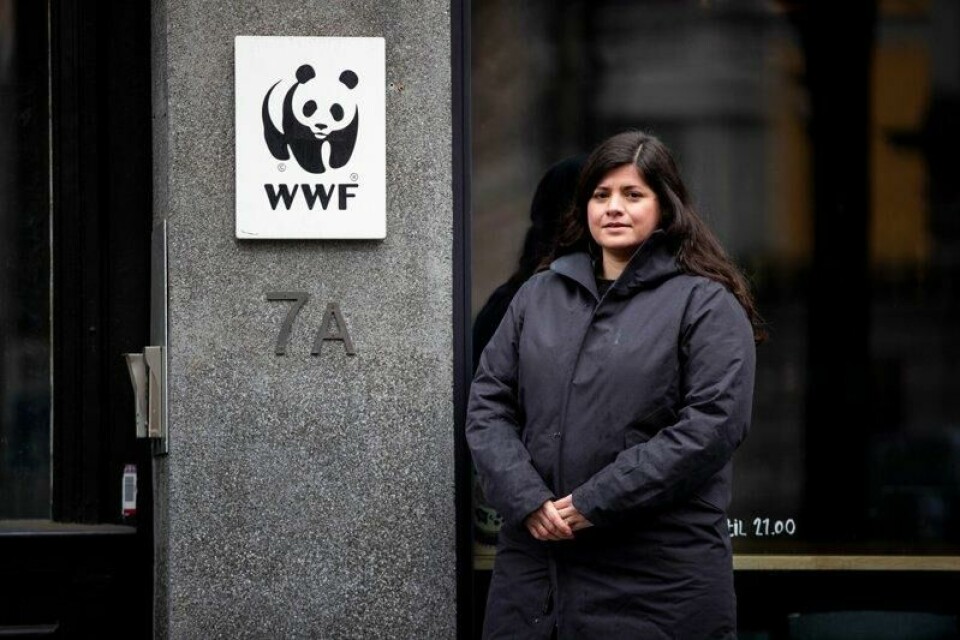 Det er ikke snakk om en politisk omkamp, men demokratisk myndighetskontroll, sier generalsekretær Karoline Andaur i WWF Verdens naturfond om at organisasjonen nå anker gruvesaken til lagmannsretten.