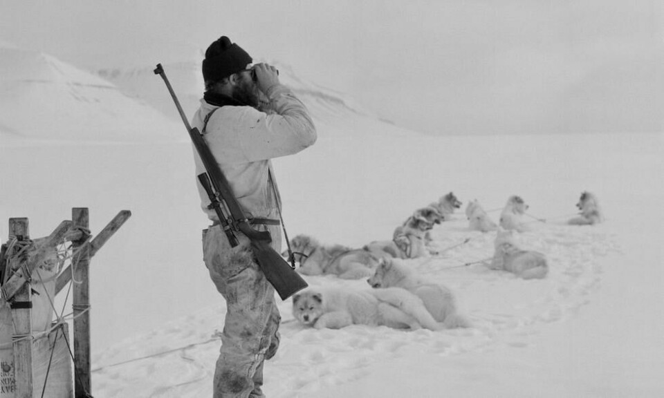 Seljakt på isen i Nordfjorden tidlig i mars 1987. Foto: Birger Amundsen Seljakt på isen i Nordfjorden tidlig i mars 1987. Foto: Birger Amundsen