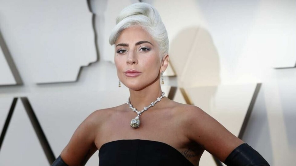 Stefani Germanotta, bedre kjent som Lady Gaga, gir en halv million dollar til dem som klarer å bringe hundene hennes trygt hjem.