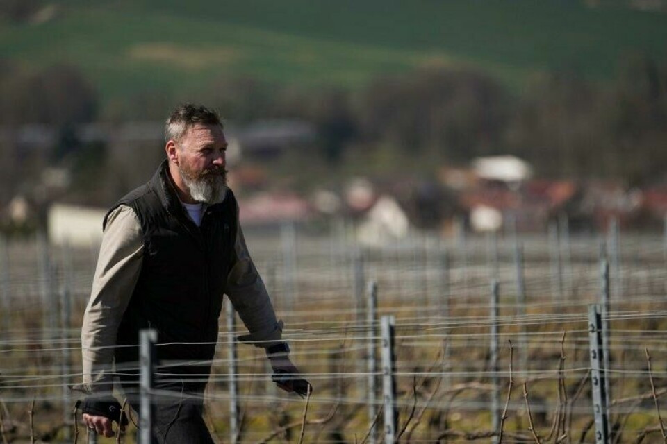 President Donald Trumps trussel om å innføre 200 prosent toll på vin fra Europa, vil få dramatiske følger for vinbønder som franske David Levasseur.