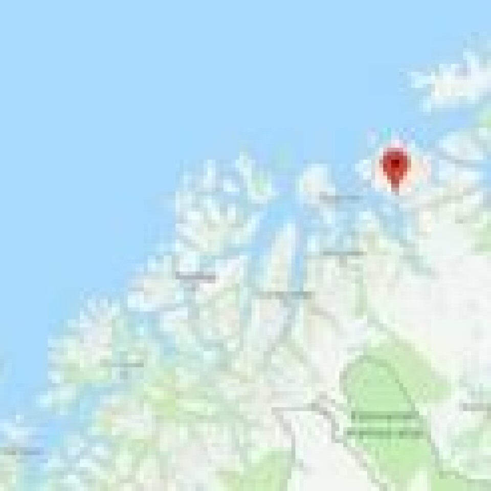 Snøskredet ble utløst på Nevernesfjellet i Jøkelfjord i Kvænangen i Nord-Troms. Snøskredet ble utløst på Nevernesfjellet i Jøkelfjord i Kvænangen i Nord-Troms. Foto: Skjermdump fra googlemap