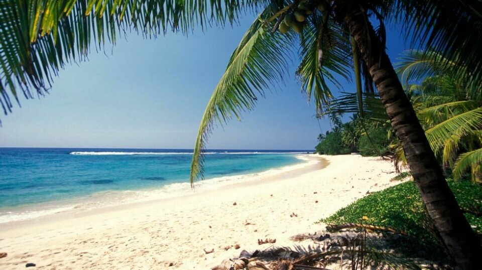 Fra Hikkaduwa Beach på vestkysten av Sri Lanka. Foto: Colourbox